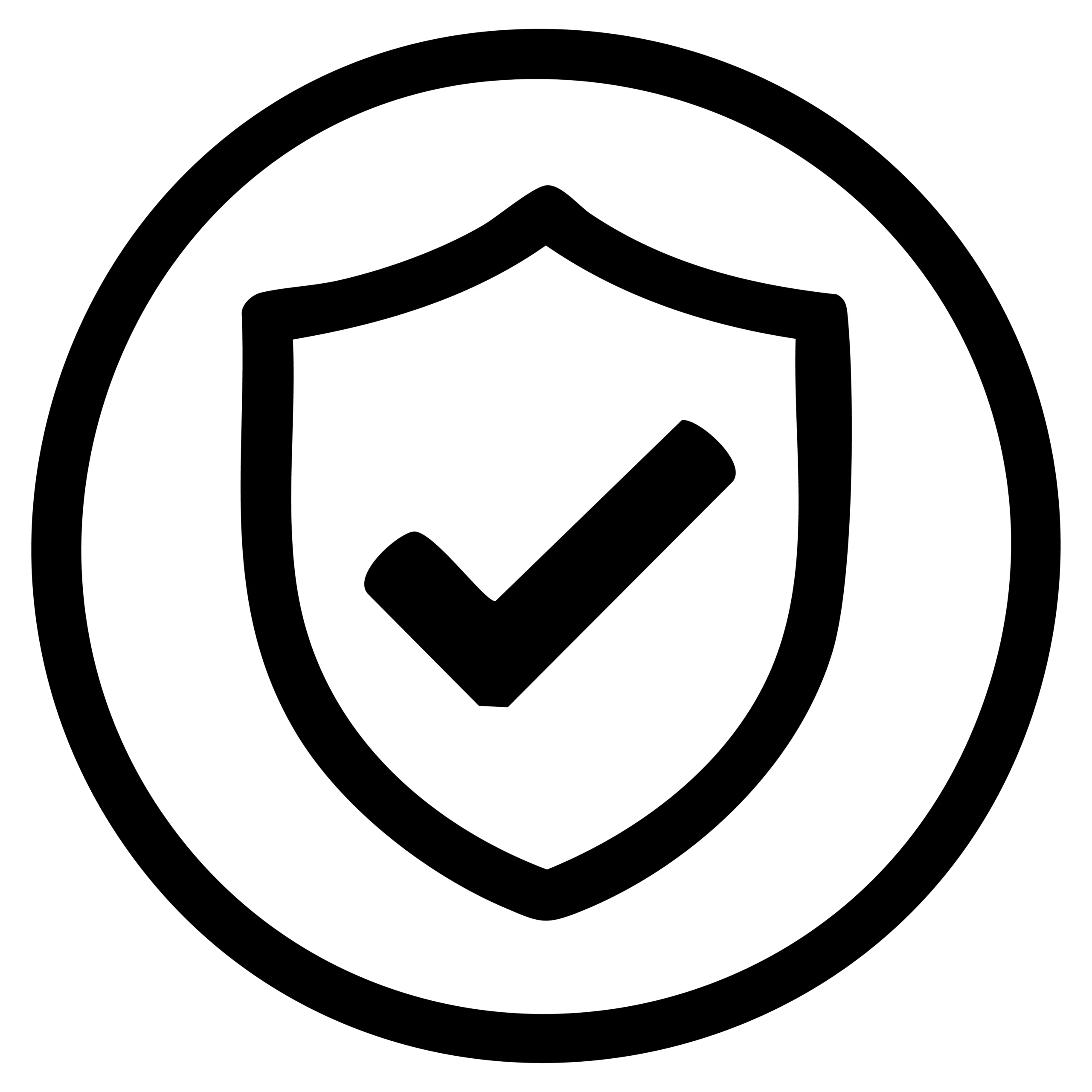 Icono Seguridad Total GITI
